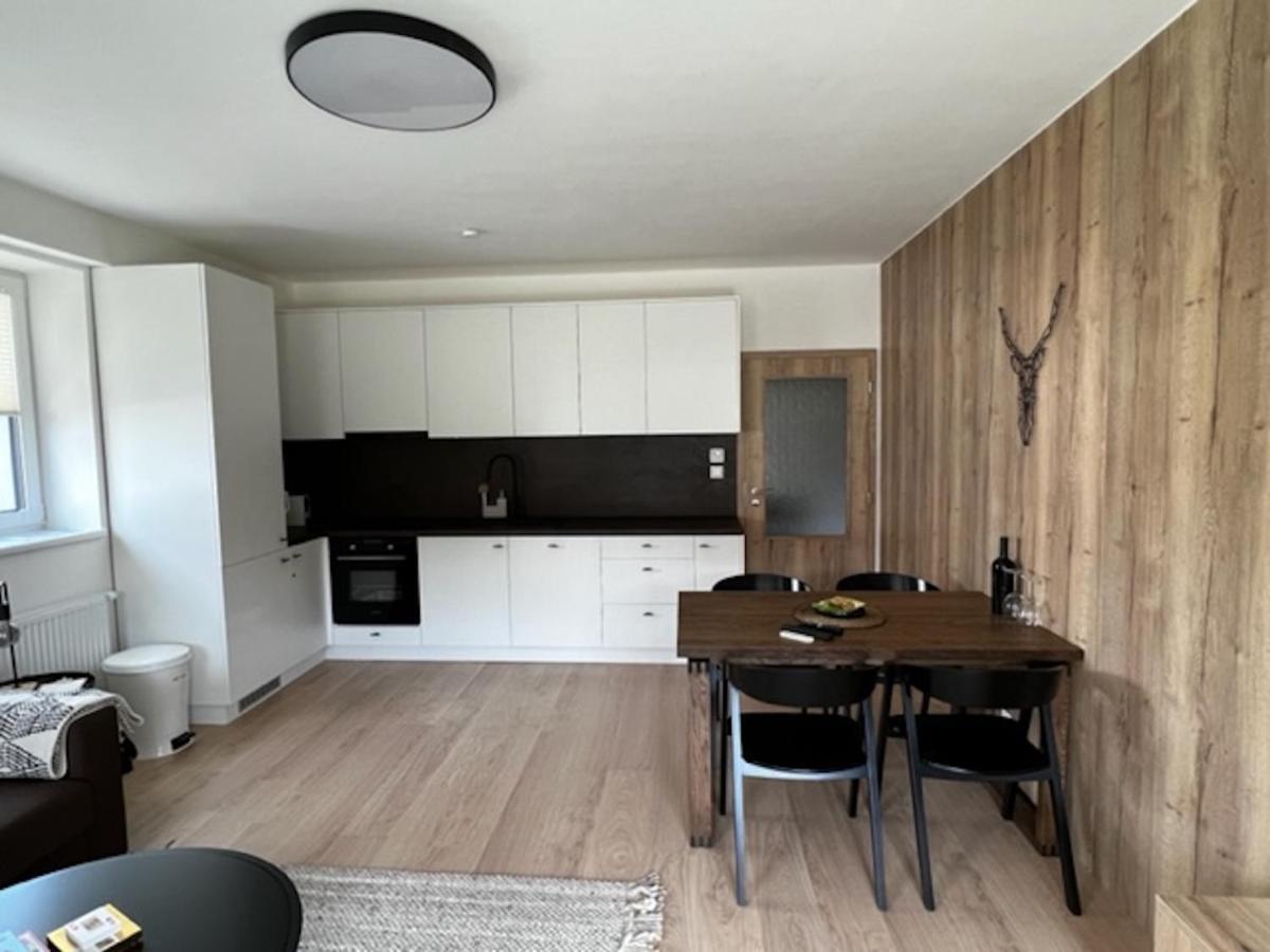 Klinovec Apartments Luxury Loučná pod Klínovcem Екстериор снимка